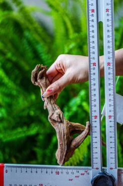 Driftwood For Moss Terrarium, Miniature, Micro Landscape, 7049 -Ncyp Garden Store IMG 7648