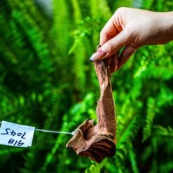 Driftwood For Moss Terrarium, Miniature, Micro Landscape, 7045