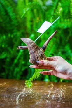 Driftwood For Moss Terrarium, Miniature, Micro Landscape, 7038 -Ncyp Garden Store IMG 7680