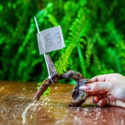 Driftwood For Moss Terrarium, Miniature, Micro Landscape, 7035