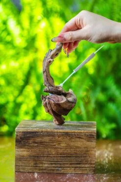 Driftwood For Moss Terrarium, Miniature, Micro Landscape, 7048 -Ncyp Garden Store IMG 7707