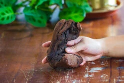 Natural Driftwood For Moss Terrarium, Miniature, Micro Landscape, Unique 10-2, Suitable For Both Live And Preserved Moss -Ncyp Garden Store IMG 7882