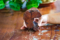 Natural Driftwood For Moss Terrarium, Miniature, Micro Landscape, Unique 10-2, Suitable For Both Live And Preserved Moss -Ncyp Garden Store IMG 7883