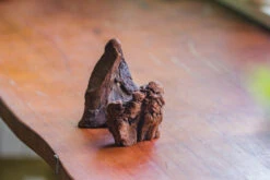 Natural Driftwood For Moss Terrarium, Miniature, Micro Landscape, Unique 10-2, Suitable For Both Live And Preserved Moss -Ncyp Garden Store IMG 7945