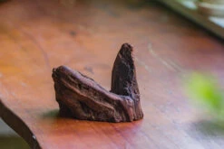 Natural Driftwood For Moss Terrarium, Miniature, Micro Landscape, Unique 10-2, Suitable For Both Live And Preserved Moss -Ncyp Garden Store IMG 7946