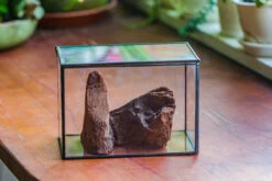 Natural Driftwood For Moss Terrarium, Miniature, Micro Landscape, Unique 10-2, Suitable For Both Live And Preserved Moss -Ncyp Garden Store IMG 7949