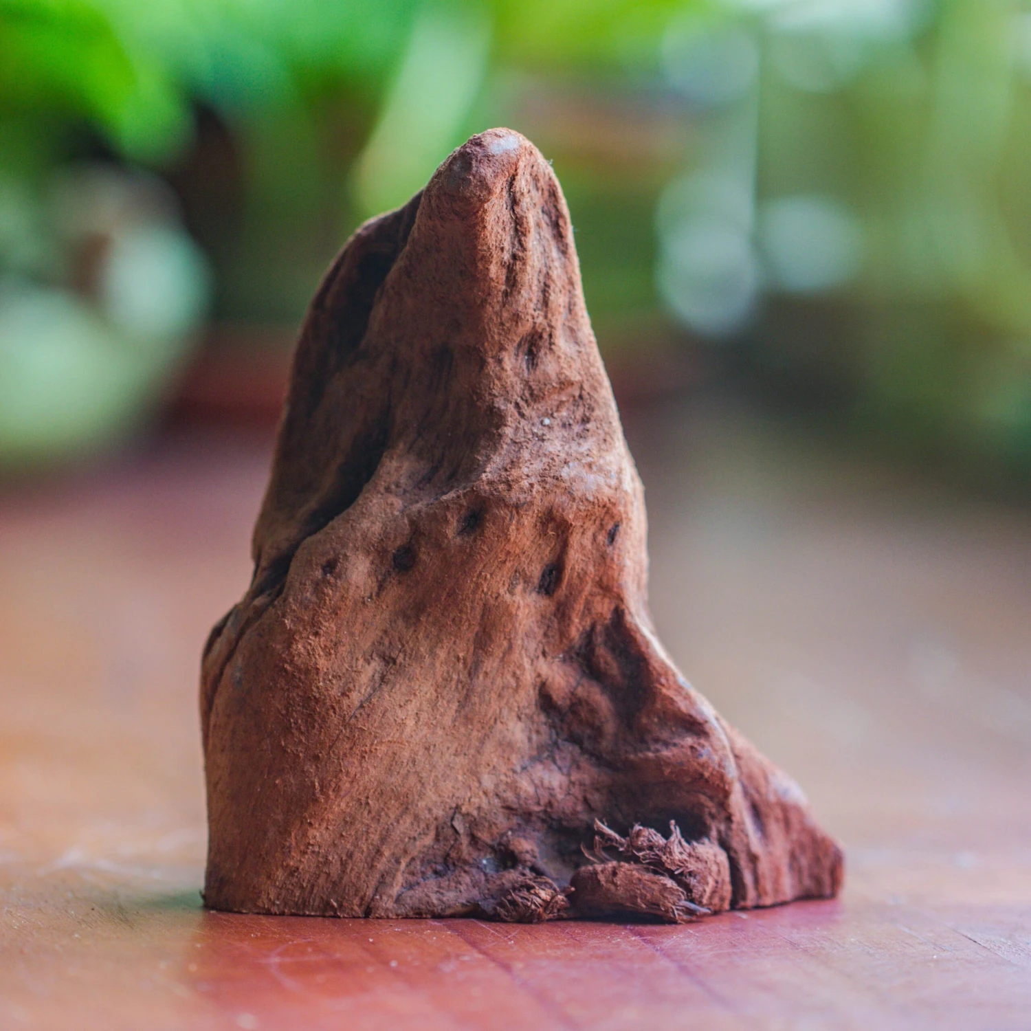 Natural Driftwood For Moss Terrarium, Miniature, Micro Landscape, Unique 10-27, Suitable For Both Live And Preserved Moss 4 Natural Driftwood For Moss Terrarium, Miniature, Micro Landscape, Unique 10-27, Suitable For Both Live And Preserved Moss - Image 2