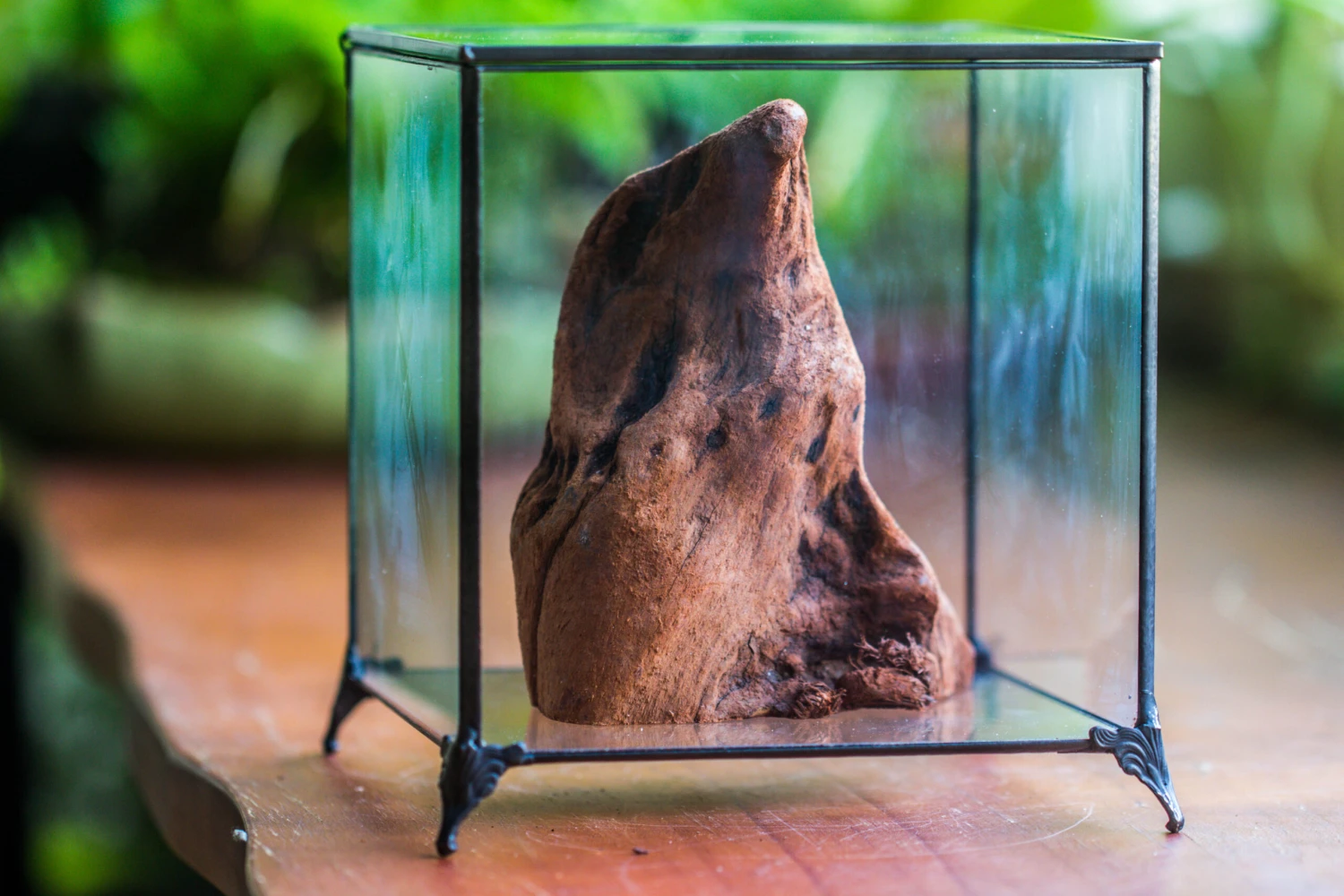 Natural Driftwood For Moss Terrarium, Miniature, Micro Landscape, Unique 10-27, Suitable For Both Live And Preserved Moss 5 Natural Driftwood For Moss Terrarium, Miniature, Micro Landscape, Unique 10-27, Suitable For Both Live And Preserved Moss - Image 3