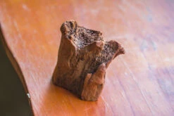 Natural Driftwood For Moss Terrarium, Miniature, Micro Landscape, Unique 10-26, Suitable For Both Live And Preserved Moss -Ncyp Garden Store IMG 7982