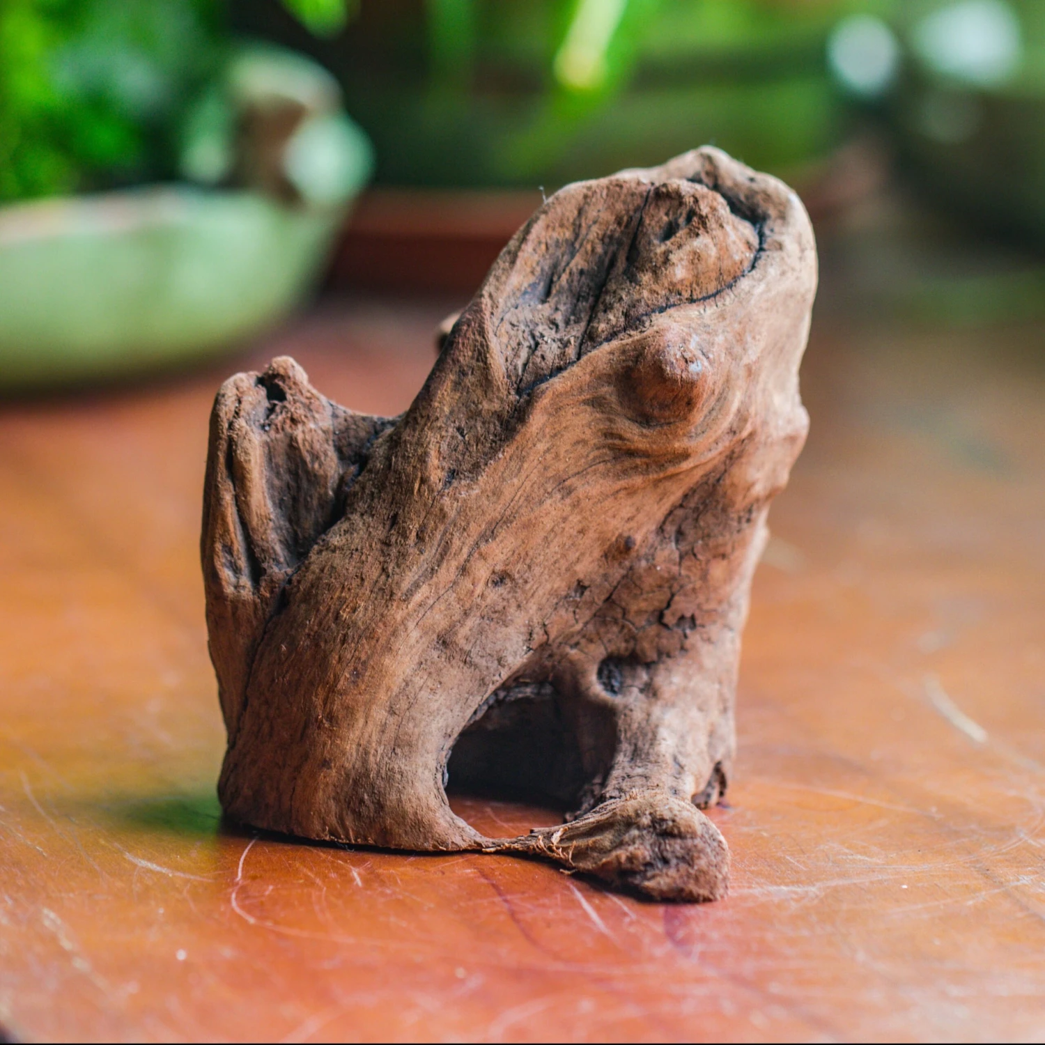 Natural Driftwood For Moss Terrarium, Miniature, Micro Landscape, Unique 10-11, Suitable For Both Live And Preserved Moss 4 Natural Driftwood For Moss Terrarium, Miniature, Micro Landscape, Unique 10-11, Suitable For Both Live And Preserved Moss - Image 2