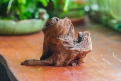 Natural Driftwood For Moss Terrarium, Miniature, Micro Landscape, Unique 10-11, Suitable For Both Live And Preserved Moss 12 Natural Driftwood For Moss Terrarium, Miniature, Micro Landscape, Unique 10-11, Suitable For Both Live And Preserved Moss -Ncyp Garden Store IMG 8013