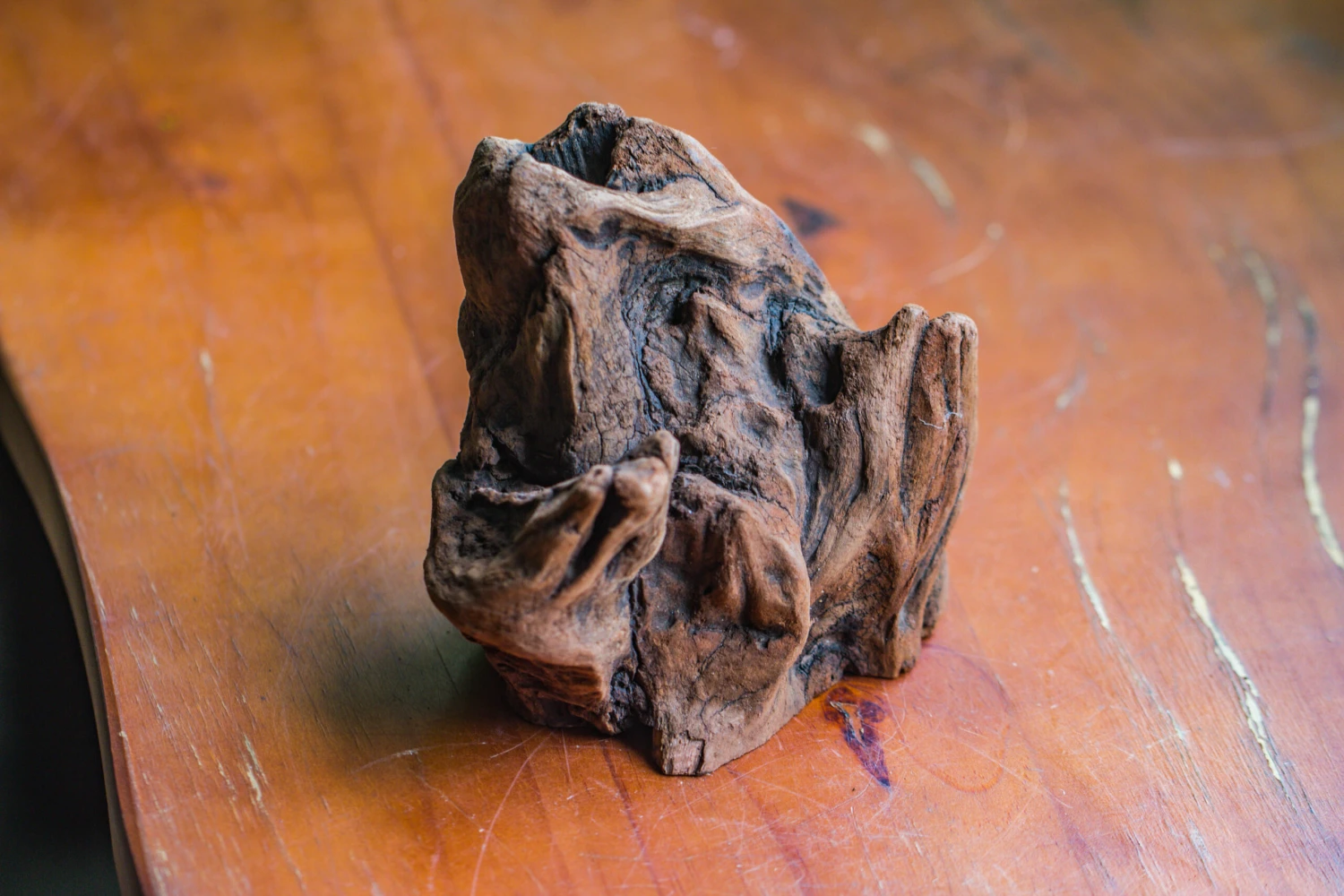 Natural Driftwood For Moss Terrarium, Miniature, Micro Landscape, Unique 10-11, Suitable For Both Live And Preserved Moss 6 Natural Driftwood For Moss Terrarium, Miniature, Micro Landscape, Unique 10-11, Suitable For Both Live And Preserved Moss - Image 4