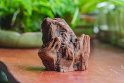 Natural Driftwood For Moss Terrarium, Miniature, Micro Landscape, Unique 10-11, Suitable For Both Live And Preserved Moss 14 Natural Driftwood For Moss Terrarium, Miniature, Micro Landscape, Unique 10-11, Suitable For Both Live And Preserved Moss -Ncyp Garden Store IMG 8015