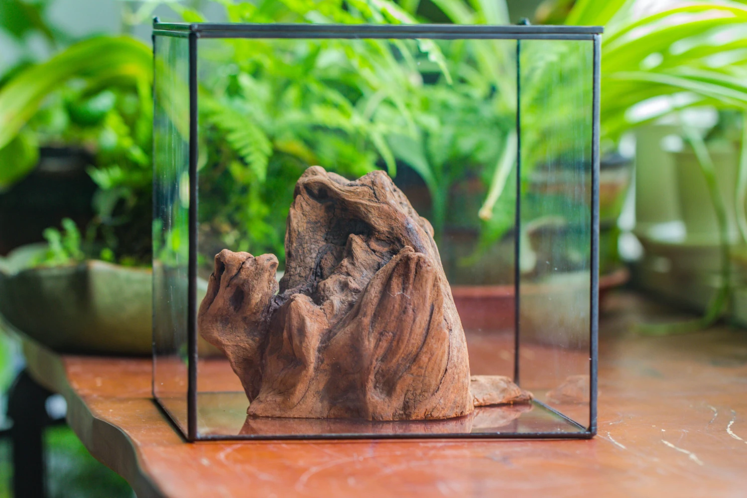 Natural Driftwood For Moss Terrarium, Miniature, Micro Landscape, Unique 10-11, Suitable For Both Live And Preserved Moss 10 Natural Driftwood For Moss Terrarium, Miniature, Micro Landscape, Unique 10-11, Suitable For Both Live And Preserved Moss - Image 8