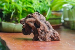 Natural Driftwood For Moss Terrarium, Miniature, Micro Landscape, Unique 10-30, Suitable For Both Live And Preserved Moss 11 Natural Driftwood For Moss Terrarium, Miniature, Micro Landscape, Unique 10-30, Suitable For Both Live And Preserved Moss -Ncyp Garden Store IMG 8020