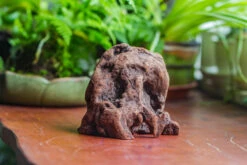 Natural Driftwood For Moss Terrarium, Miniature, Micro Landscape, Unique 10-30, Suitable For Both Live And Preserved Moss 12 Natural Driftwood For Moss Terrarium, Miniature, Micro Landscape, Unique 10-30, Suitable For Both Live And Preserved Moss -Ncyp Garden Store IMG 8021