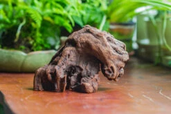 Natural Driftwood For Moss Terrarium, Miniature, Micro Landscape, Unique 10-30, Suitable For Both Live And Preserved Moss 13 Natural Driftwood For Moss Terrarium, Miniature, Micro Landscape, Unique 10-30, Suitable For Both Live And Preserved Moss -Ncyp Garden Store IMG 8022