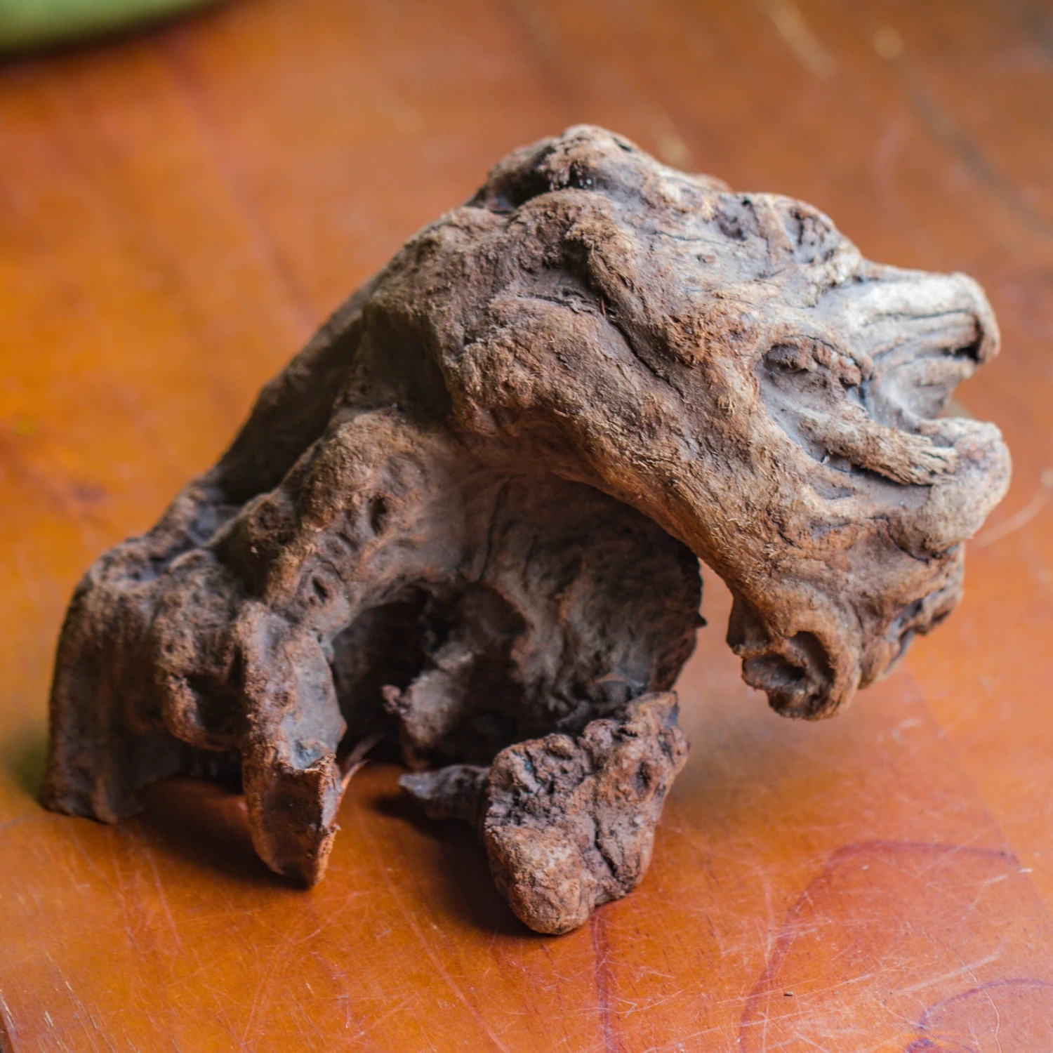 Natural Driftwood For Moss Terrarium, Miniature, Micro Landscape, Unique 10-30, Suitable For Both Live And Preserved Moss 4 Natural Driftwood For Moss Terrarium, Miniature, Micro Landscape, Unique 10-30, Suitable For Both Live And Preserved Moss - Image 2