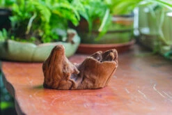 Natural Driftwood For Moss Terrarium, Miniature, Micro Landscape, Unique 10-38, Suitable For Both Live And Preserved Moss -Ncyp Garden Store IMG 8028