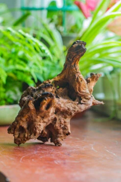 Natural Driftwood For Moss Terrarium, Miniature, Micro Landscape, Unique 10-7, Suitable For Both Live And Preserved Moss 14 Natural Driftwood For Moss Terrarium, Miniature, Micro Landscape, Unique 10-7, Suitable For Both Live And Preserved Moss -Ncyp Garden Store IMG 8073