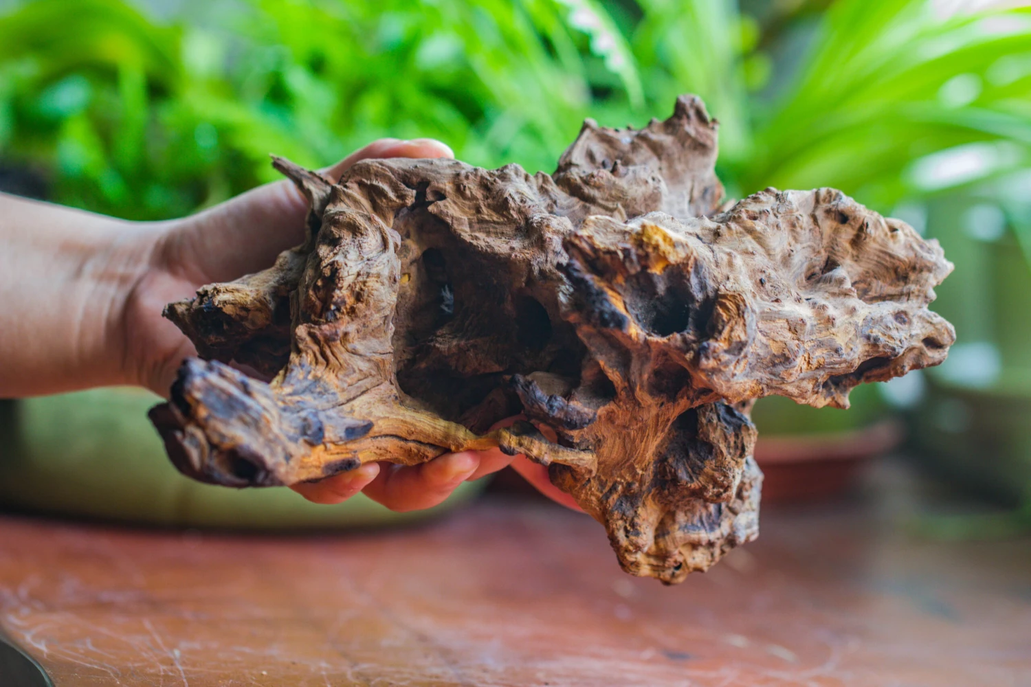 Natural Driftwood For Moss Terrarium, Miniature, Micro Landscape, Unique 10-7, Suitable For Both Live And Preserved Moss 9 Natural Driftwood For Moss Terrarium, Miniature, Micro Landscape, Unique 10-7, Suitable For Both Live And Preserved Moss - Image 7