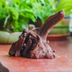 Natural Driftwood For Moss Terrarium, Miniature, Micro Landscape, Unique 10-9, Suitable For Both Live And Preserved Moss