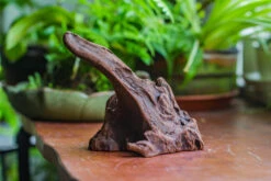 Natural Driftwood For Moss Terrarium, Miniature, Micro Landscape, Unique 10-9, Suitable For Both Live And Preserved Moss 14 Natural Driftwood For Moss Terrarium, Miniature, Micro Landscape, Unique 10-9, Suitable For Both Live And Preserved Moss -Ncyp Garden Store IMG 8085