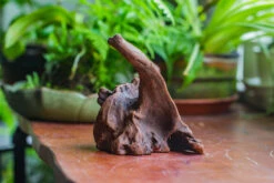 Natural Driftwood For Moss Terrarium, Miniature, Micro Landscape, Unique 10-9, Suitable For Both Live And Preserved Moss 15 Natural Driftwood For Moss Terrarium, Miniature, Micro Landscape, Unique 10-9, Suitable For Both Live And Preserved Moss -Ncyp Garden Store IMG 8086