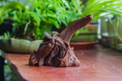 Natural Driftwood For Moss Terrarium, Miniature, Micro Landscape, Unique 10-9, Suitable For Both Live And Preserved Moss 16 Natural Driftwood For Moss Terrarium, Miniature, Micro Landscape, Unique 10-9, Suitable For Both Live And Preserved Moss -Ncyp Garden Store IMG 8087