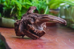 Natural Driftwood For Moss Terrarium, Miniature, Micro Landscape, Unique 10-9, Suitable For Both Live And Preserved Moss 17 Natural Driftwood For Moss Terrarium, Miniature, Micro Landscape, Unique 10-9, Suitable For Both Live And Preserved Moss -Ncyp Garden Store IMG 8088