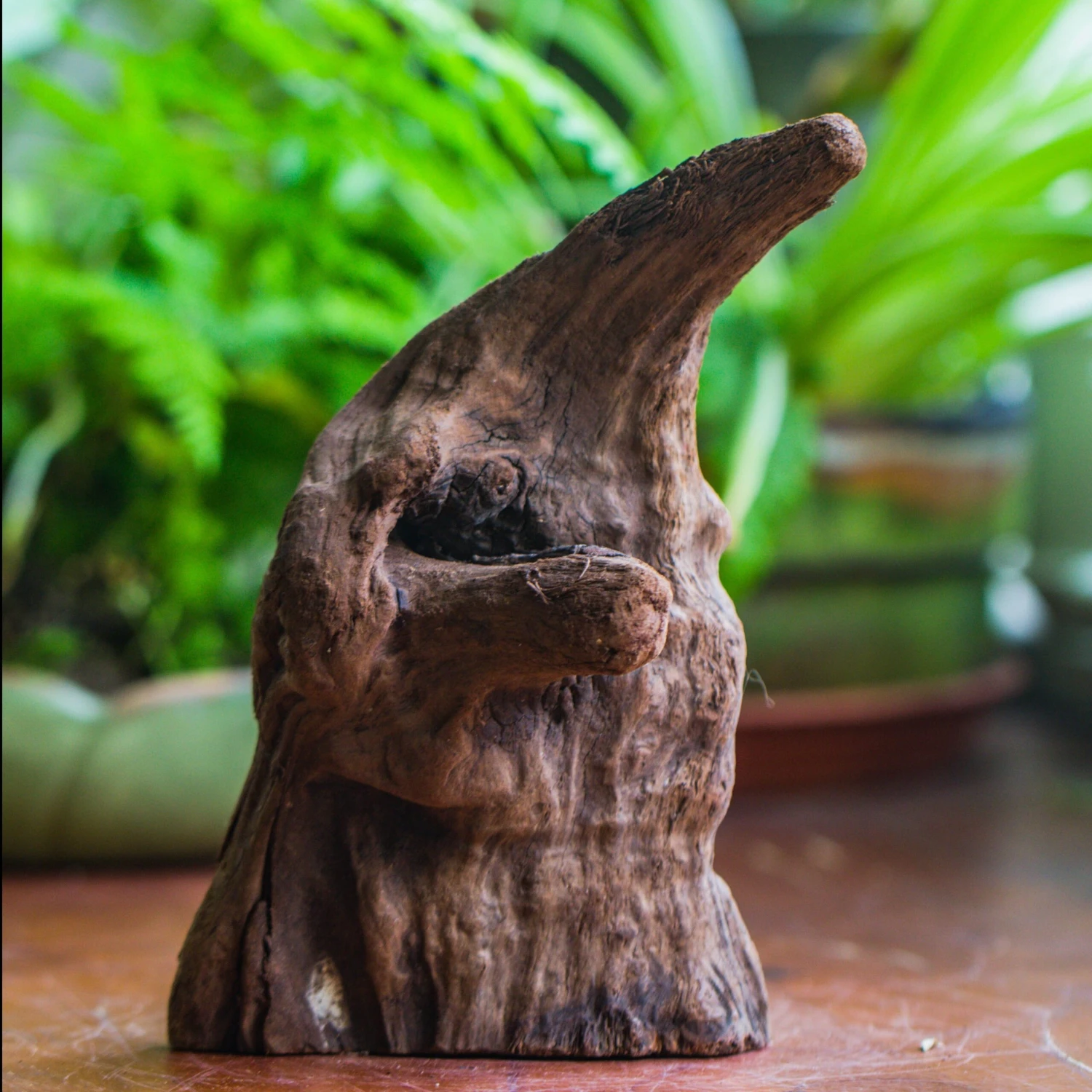 Natural Driftwood For Moss Terrarium, Miniature, Micro Landscape, Unique 10-6, Suitable For Both Live And Preserved Moss 3 Natural Driftwood For Moss Terrarium, Miniature, Micro Landscape, Unique 10-6, Suitable For Both Live And Preserved Moss