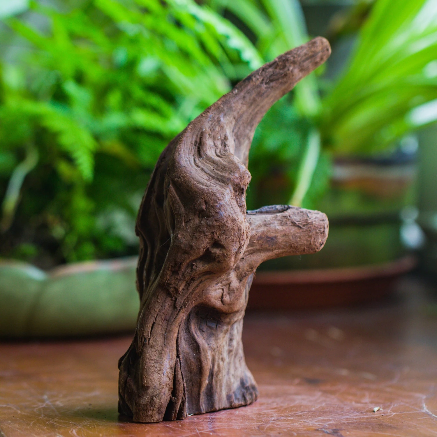 Natural Driftwood For Moss Terrarium, Miniature, Micro Landscape, Unique 10-6, Suitable For Both Live And Preserved Moss 4 Natural Driftwood For Moss Terrarium, Miniature, Micro Landscape, Unique 10-6, Suitable For Both Live And Preserved Moss - Image 2