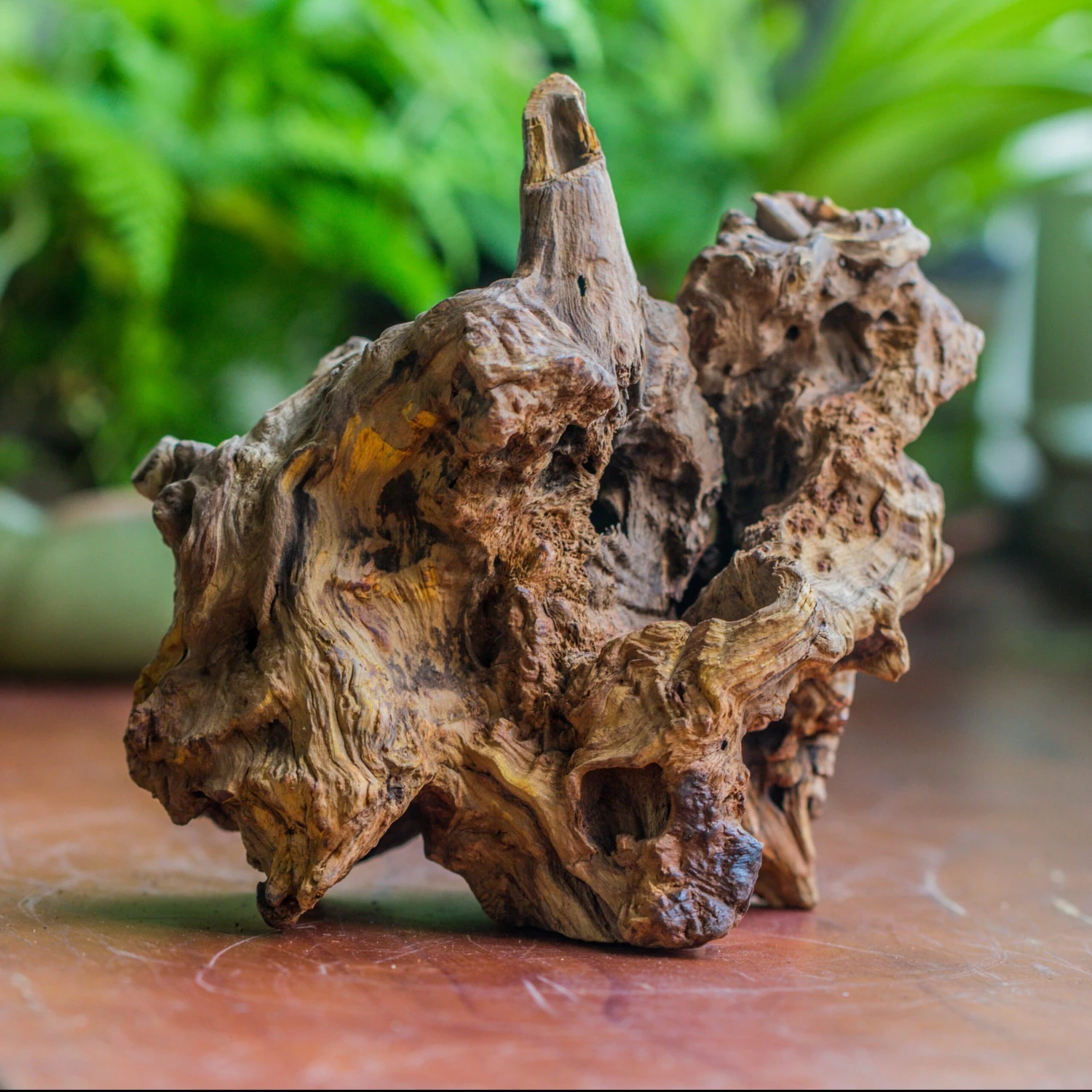 Natural Driftwood For Moss Terrarium, Miniature, Micro Landscape, Unique 10-8, Suitable For Both Live And Preserved Moss 3 Natural Driftwood For Moss Terrarium, Miniature, Micro Landscape, Unique 10-8, Suitable For Both Live And Preserved Moss