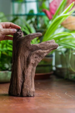 Natural Driftwood For Moss Terrarium, Miniature, Micro Landscape, Unique 10-22, Suitable For Both Live And Preserved Moss -Ncyp Garden Store IMG 8147 54b27b1c 2357 41d3 8d65 899eda53ff67