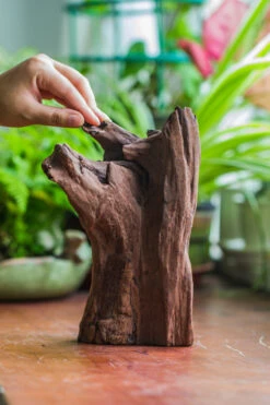 Natural Driftwood For Moss Terrarium, Miniature, Micro Landscape, Unique 10-22, Suitable For Both Live And Preserved Moss -Ncyp Garden Store IMG 8148 bef8587a 06ad 4682 a885 47a8c3747224