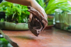 Natural Driftwood For Moss Terrarium, Miniature, Micro Landscape, Unique 10-22, Suitable For Both Live And Preserved Moss -Ncyp Garden Store IMG 8149 3ae2bf9f d410 423e 901a e1caad654211