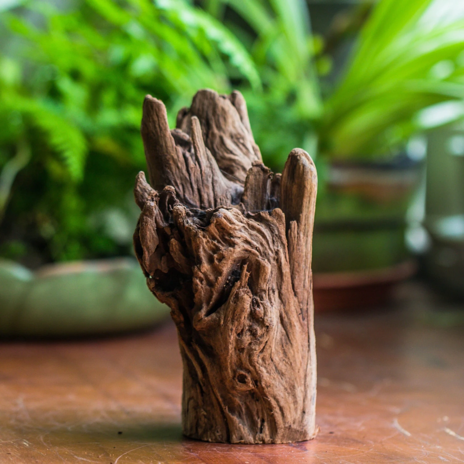 Natural Driftwood For Moss Terrarium, Miniature, Micro Landscape, Unique 10-17, Suitable For Both Live And Preserved Moss 4 Natural Driftwood For Moss Terrarium, Miniature, Micro Landscape, Unique 10-17, Suitable For Both Live And Preserved Moss - Image 2