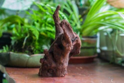 Natural Driftwood For Moss Terrarium, Miniature, Micro Landscape, Unique 10-47, Suitable For Both Live And Preserved Moss -Ncyp Garden Store IMG 8165 2b2247e1 d424 48d9 8883 dde6ee028715