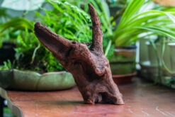 Natural Driftwood For Moss Terrarium, Miniature, Micro Landscape, Unique 10-47, Suitable For Both Live And Preserved Moss -Ncyp Garden Store IMG 8166