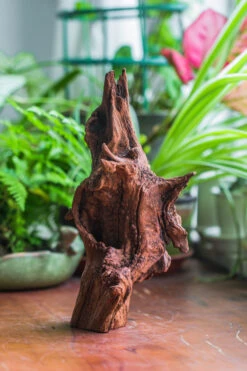 Natural Driftwood For Moss Terrarium, Miniature, Micro Landscape, Unique 10-33, Suitable For Both Live And Preserved Moss 12 Natural Driftwood For Moss Terrarium, Miniature, Micro Landscape, Unique 10-33, Suitable For Both Live And Preserved Moss -Ncyp Garden Store IMG 8192