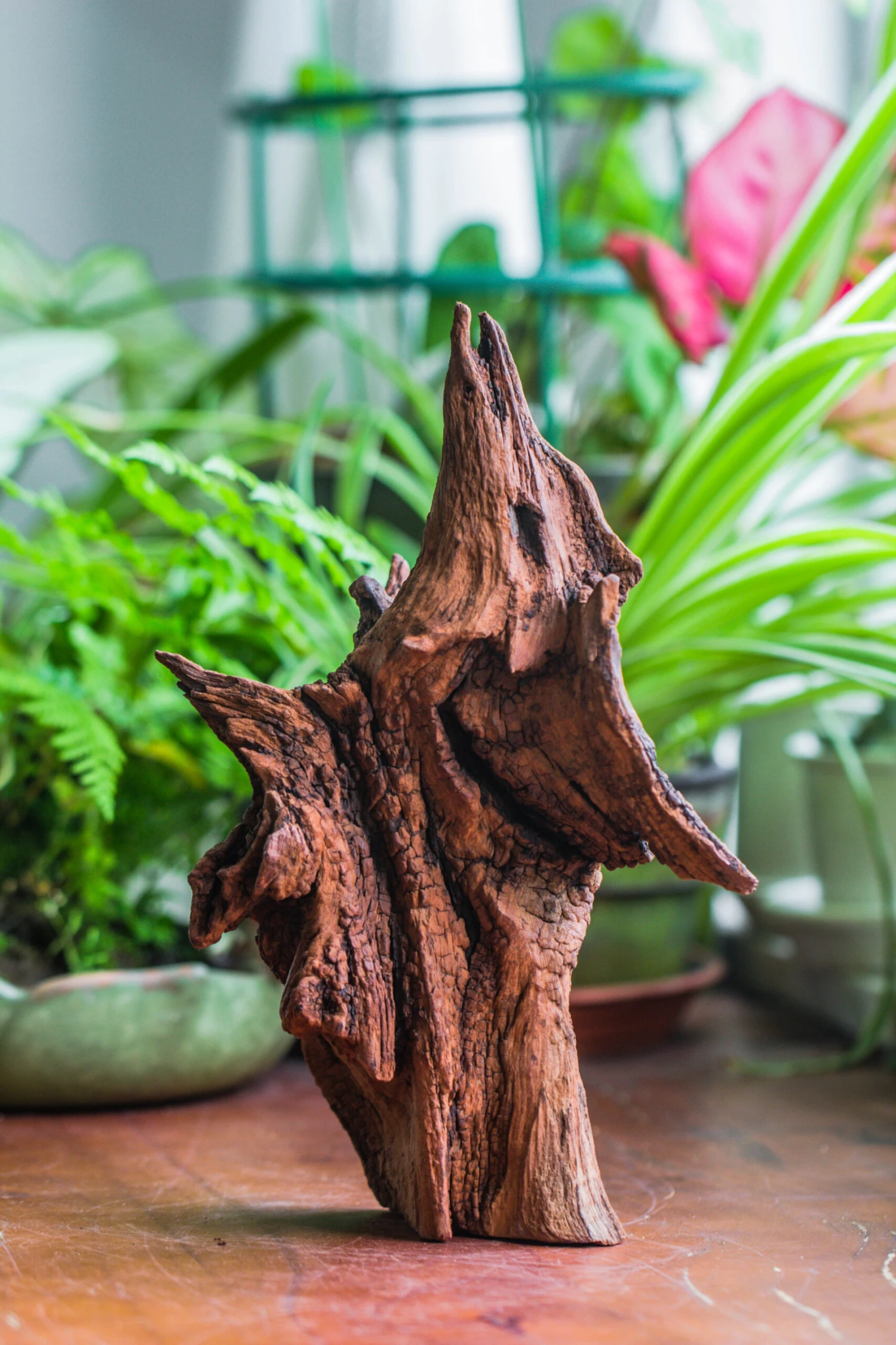 Natural Driftwood For Moss Terrarium, Miniature, Micro Landscape, Unique 10-33, Suitable For Both Live And Preserved Moss 7 Natural Driftwood For Moss Terrarium, Miniature, Micro Landscape, Unique 10-33, Suitable For Both Live And Preserved Moss - Image 5