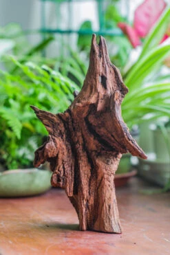 Natural Driftwood For Moss Terrarium, Miniature, Micro Landscape, Unique 10-33, Suitable For Both Live And Preserved Moss 16 Natural Driftwood For Moss Terrarium, Miniature, Micro Landscape, Unique 10-33, Suitable For Both Live And Preserved Moss -Ncyp Garden Store IMG 8196