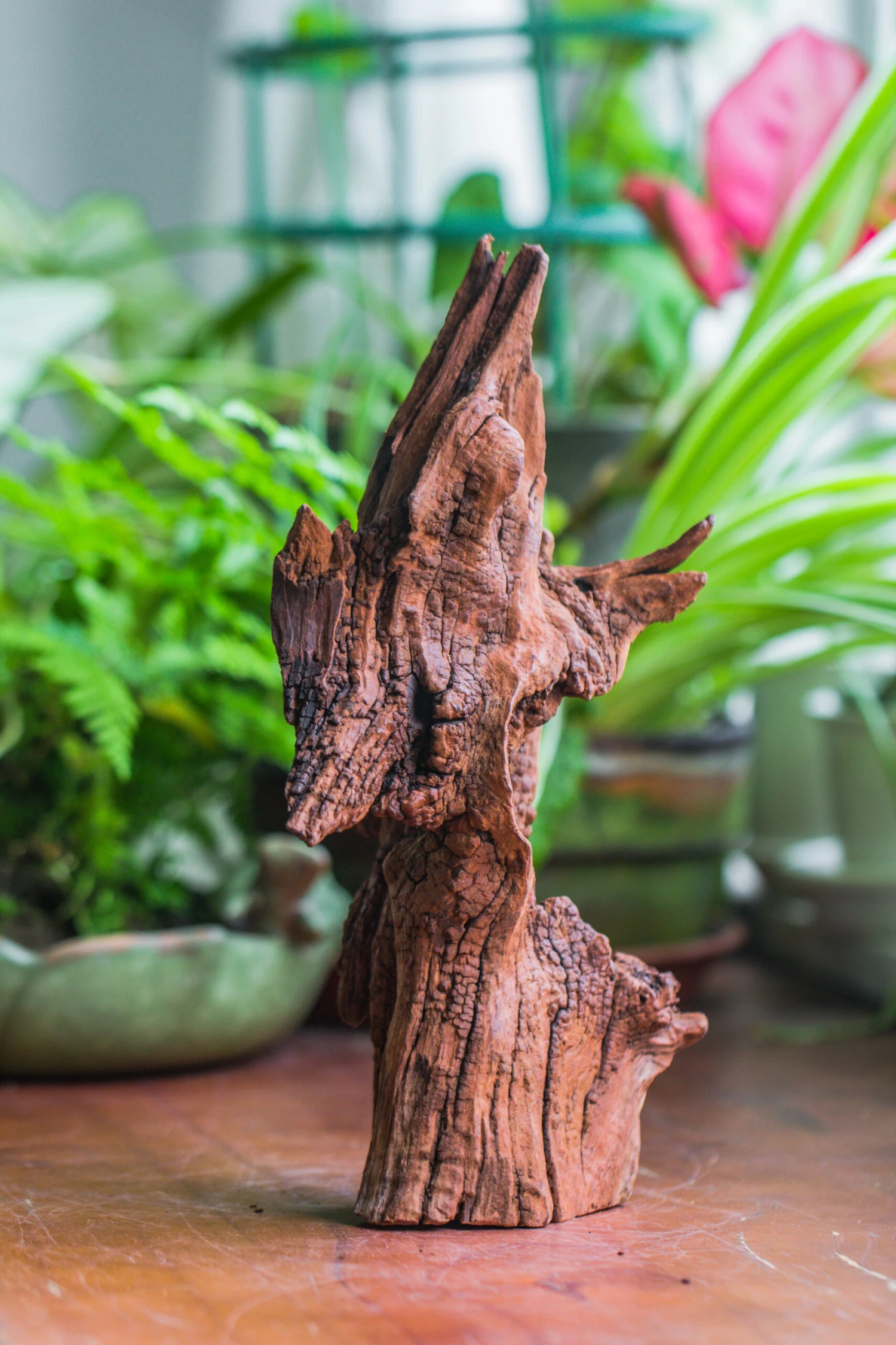 Natural Driftwood For Moss Terrarium, Miniature, Micro Landscape, Unique 10-33, Suitable For Both Live And Preserved Moss 10 Natural Driftwood For Moss Terrarium, Miniature, Micro Landscape, Unique 10-33, Suitable For Both Live And Preserved Moss - Image 8