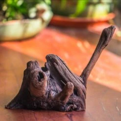 Natural Driftwood For Moss Terrarium, Miniature, Micro Landscape, Unique 10-54, Suitable For Both Live And Preserved Moss