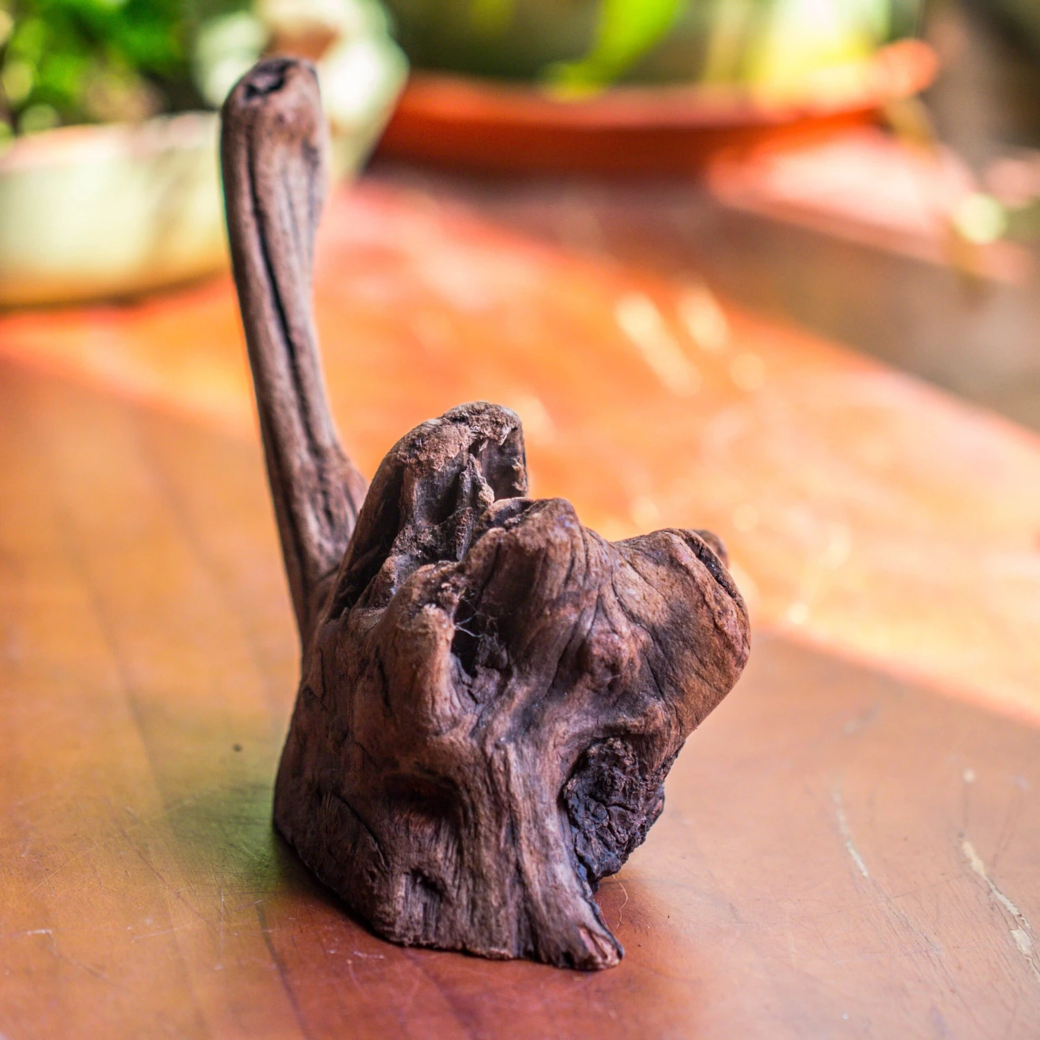 Natural Driftwood For Moss Terrarium, Miniature, Micro Landscape, Unique 10-54, Suitable For Both Live And Preserved Moss 4 Natural Driftwood For Moss Terrarium, Miniature, Micro Landscape, Unique 10-54, Suitable For Both Live And Preserved Moss - Image 2