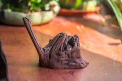 Natural Driftwood For Moss Terrarium, Miniature, Micro Landscape, Unique 10-54, Suitable For Both Live And Preserved Moss 11 Natural Driftwood For Moss Terrarium, Miniature, Micro Landscape, Unique 10-54, Suitable For Both Live And Preserved Moss -Ncyp Garden Store IMG 8240 5b0a51bf bc6c 4185 9720 d313bab0f53a