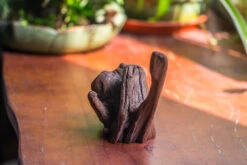 Natural Driftwood For Moss Terrarium, Miniature, Micro Landscape, Unique 10-54, Suitable For Both Live And Preserved Moss 12 Natural Driftwood For Moss Terrarium, Miniature, Micro Landscape, Unique 10-54, Suitable For Both Live And Preserved Moss -Ncyp Garden Store IMG 8241 9edff1ed f6cc 4626 a044 c630416b59e6