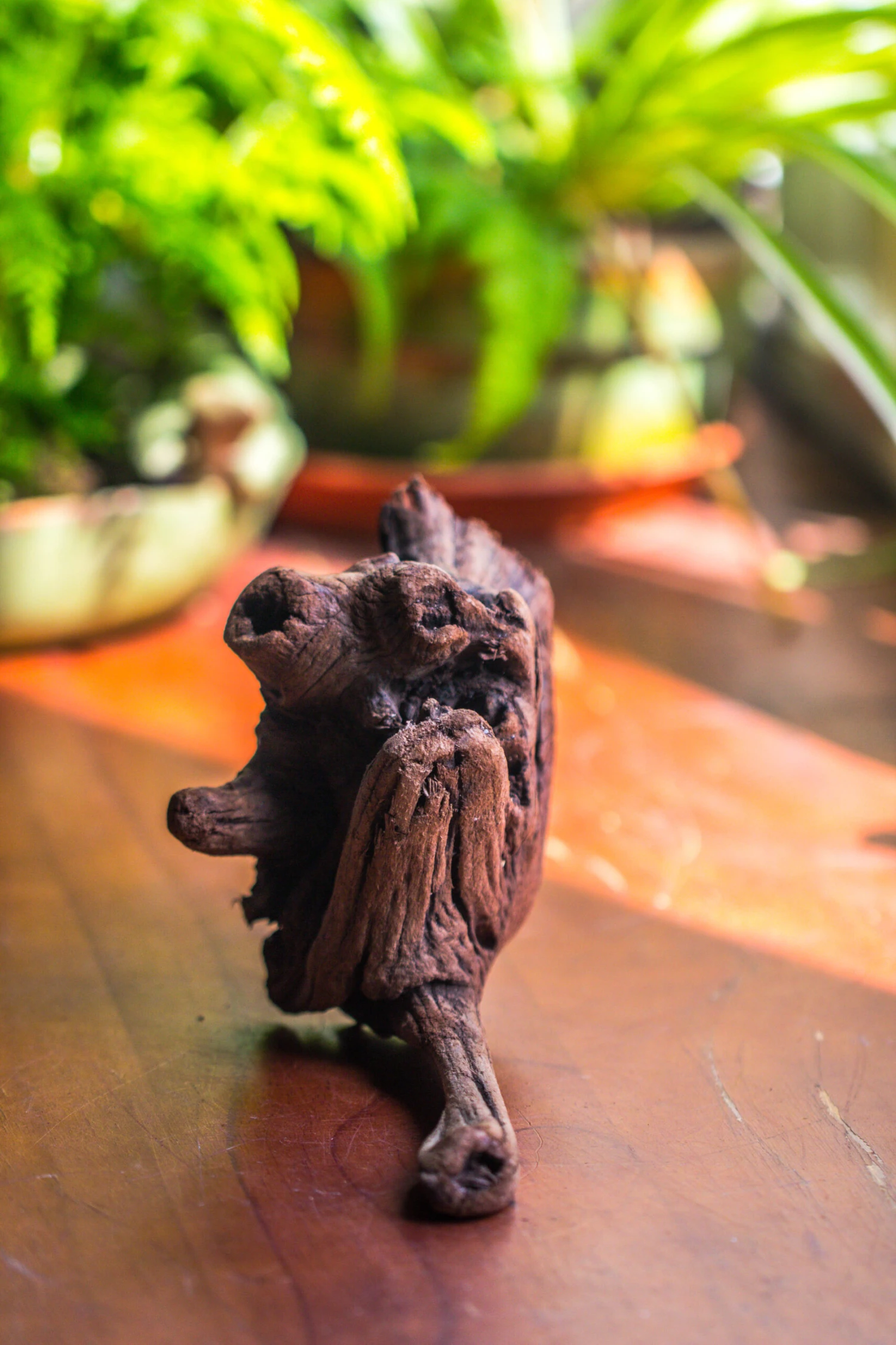 Natural Driftwood For Moss Terrarium, Miniature, Micro Landscape, Unique 10-54, Suitable For Both Live And Preserved Moss 7 Natural Driftwood For Moss Terrarium, Miniature, Micro Landscape, Unique 10-54, Suitable For Both Live And Preserved Moss - Image 5