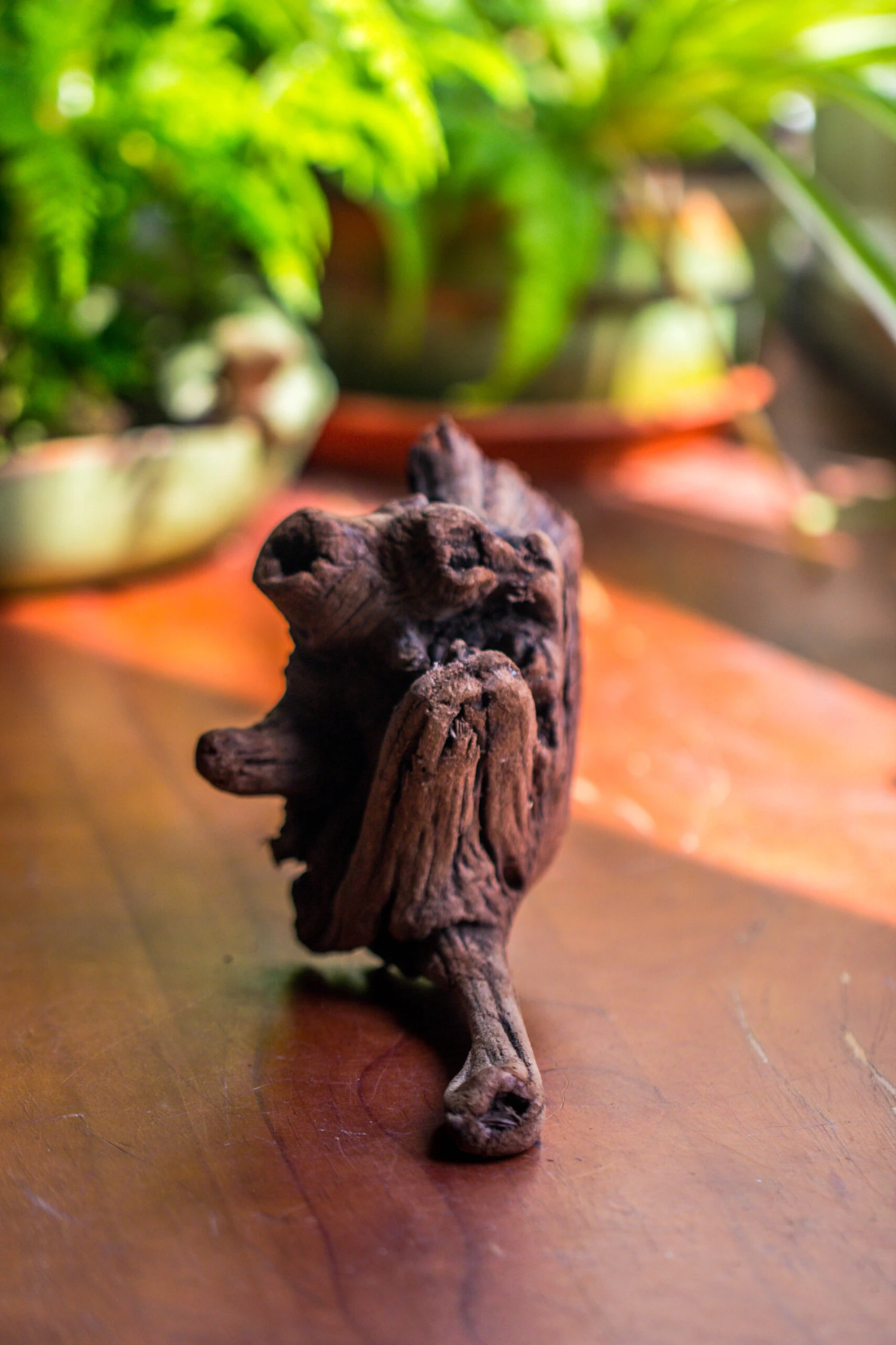 Natural Driftwood For Moss Terrarium, Miniature, Micro Landscape, Unique 10-54, Suitable For Both Live And Preserved Moss 8 Natural Driftwood For Moss Terrarium, Miniature, Micro Landscape, Unique 10-54, Suitable For Both Live And Preserved Moss - Image 6