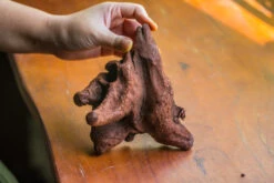 Natural Driftwood For Moss Terrarium, Miniature, Micro Landscape, Unique 10-50, Suitable For Both Live And Preserved Moss -Ncyp Garden Store IMG 8266